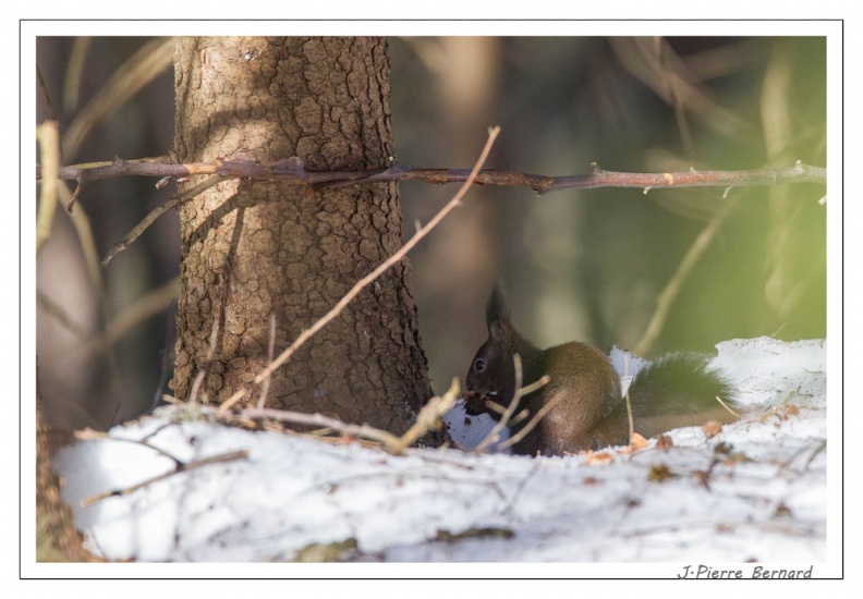 BayerMercredi 17-02-15 0019