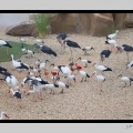 Beauval_27-10-15-1915.jpg